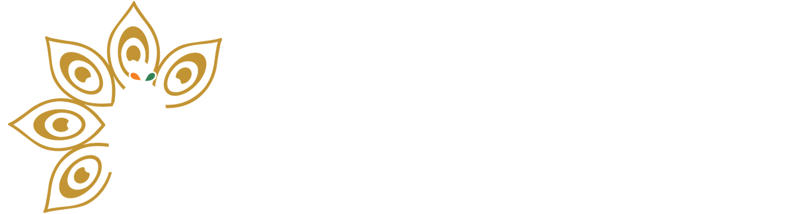 Spirit of India